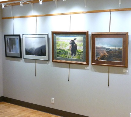 New Artists on Display at the Coliseum Museum