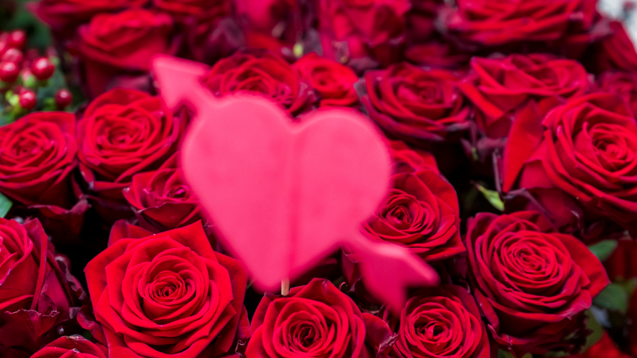 IL Attorney General Urging Residents to Be Wary of Romance Scams Ahead of Valentine’s Day