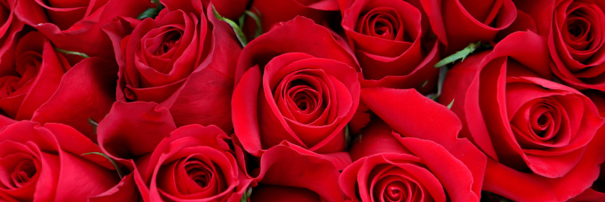 Daddy Daughter Sweetheart Dance!