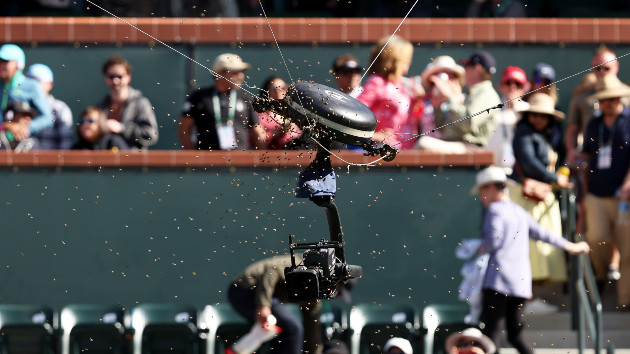 A swarm of bees cover the spider cam after suddenly invading the court while Carlos Alcaraz of Spain and Alexander Zverev of Germany were playing in their Quarterfinal match during the BNP Paribas Open at Indian Wells Tennis Garden on March 14, 2024 in Indian Wells, California. (Photo by Clive Brunskill/Getty Images)