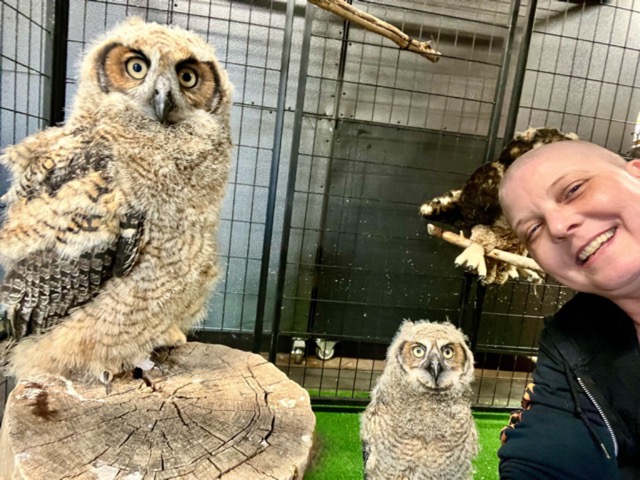 Best Part of Wildlife Rehabilitation is Releasing Them Back to the Wild