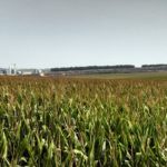 Brownfield Ag News (Illinois)