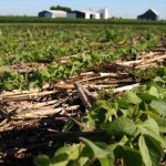 Brownfield Ag News (Illinois)