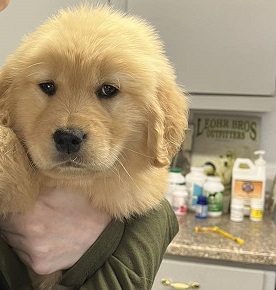 You’re Invited to A Party!