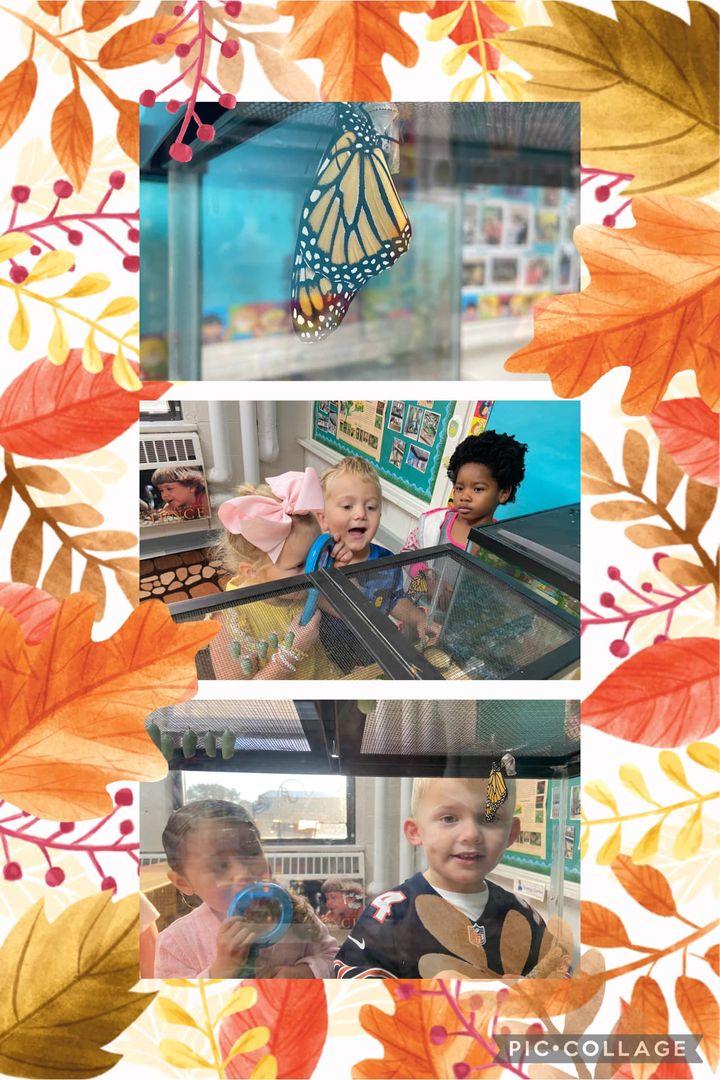 “Butterflies know the beauty of change.” Students in Mrs. Kessler and Mrs. Clark’s PreK class enjoy the first butterfly…