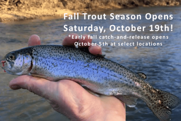IDNR Announced The Opening of The 2024 Fall Trout Fishing Season on October 19th