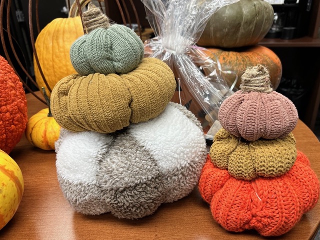 Black Hawk College Pumpkin Auction Raises 6K for the Kewanee Area United Way