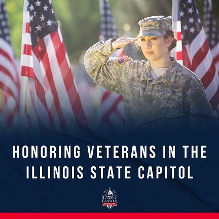 Illinois State Capital Veterans Day Display