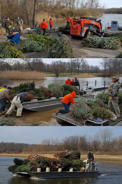 Transform Your Holiday Waste into Vital Fish Habitats This Winter