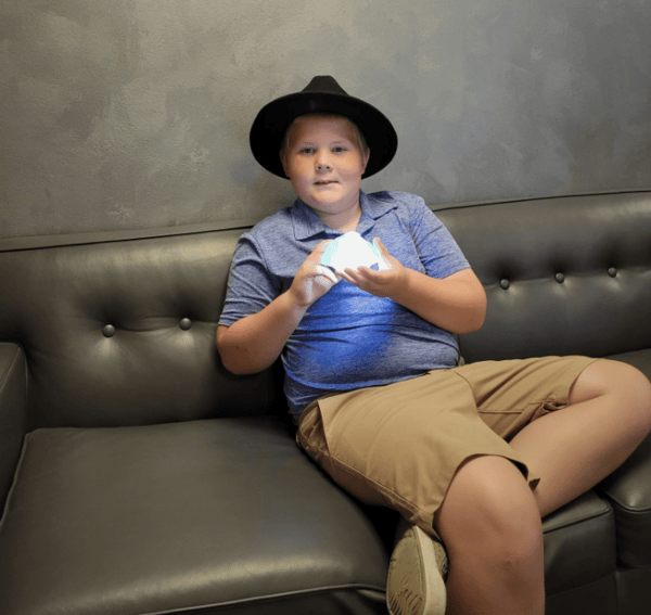 Journey Through Time Celebrating Paleontology Pioneers at Cambridge Natural History Museum