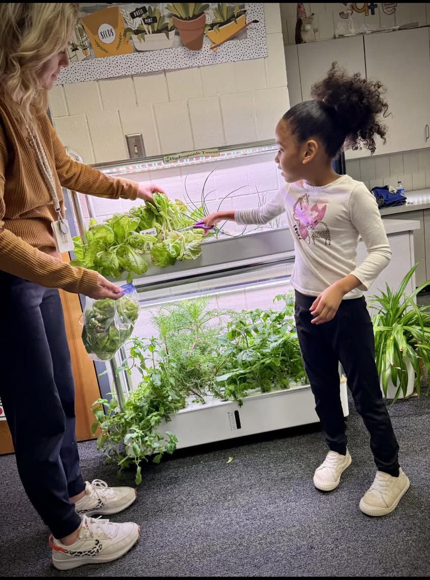 It may be snowing outside but Mrs. Hellings 1st graders are harvesting lettuce from their hydroponics garden! Thanks to…