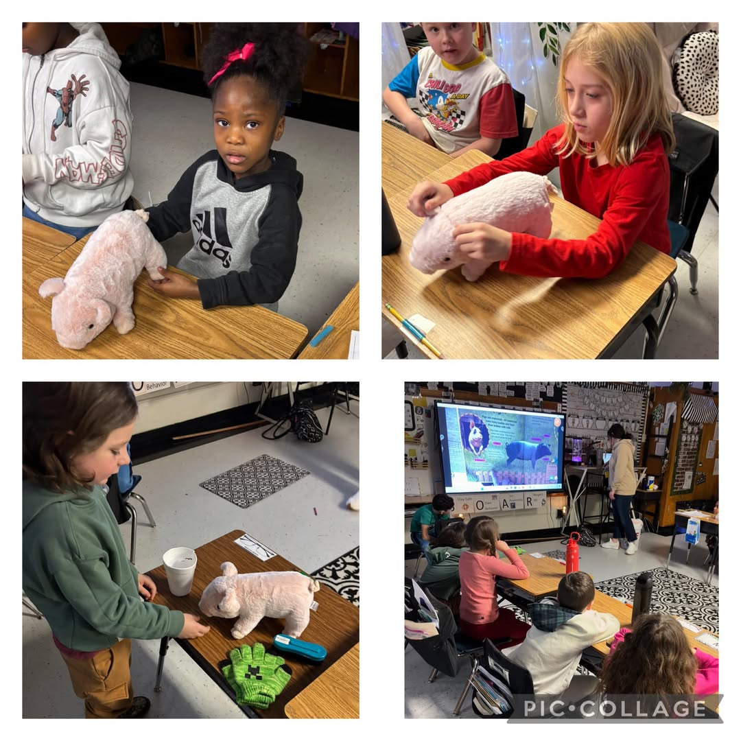 Mrs. Coupland’s second grade class enjoyed the Ag in the Classroom lesson today! Students learned all about pigs and how…