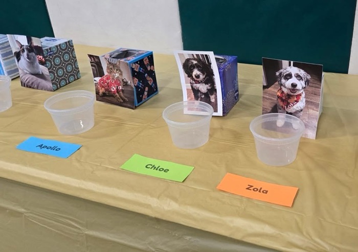 Join the Wethersfield K-Kids Pet Photo Contest and Support the Kewanee Animal Shelter