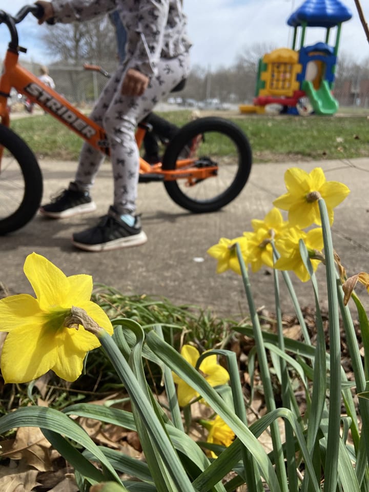Spring has sprung on the bike track at MacArthur! #mac185