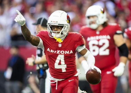 WR Greg Dortch signs tender with Cardinals