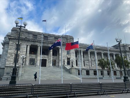 New Zealand government’s minority party introduces bill to define gender as biological