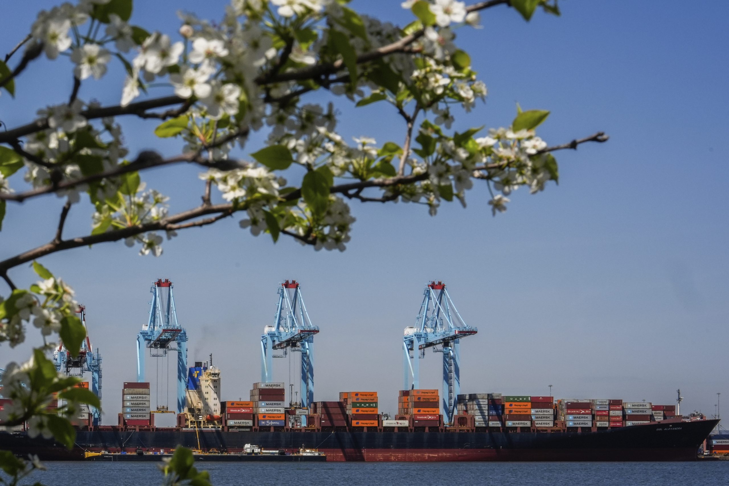 Tackling tariffs: What some companies are saying, and doing, about tariffs