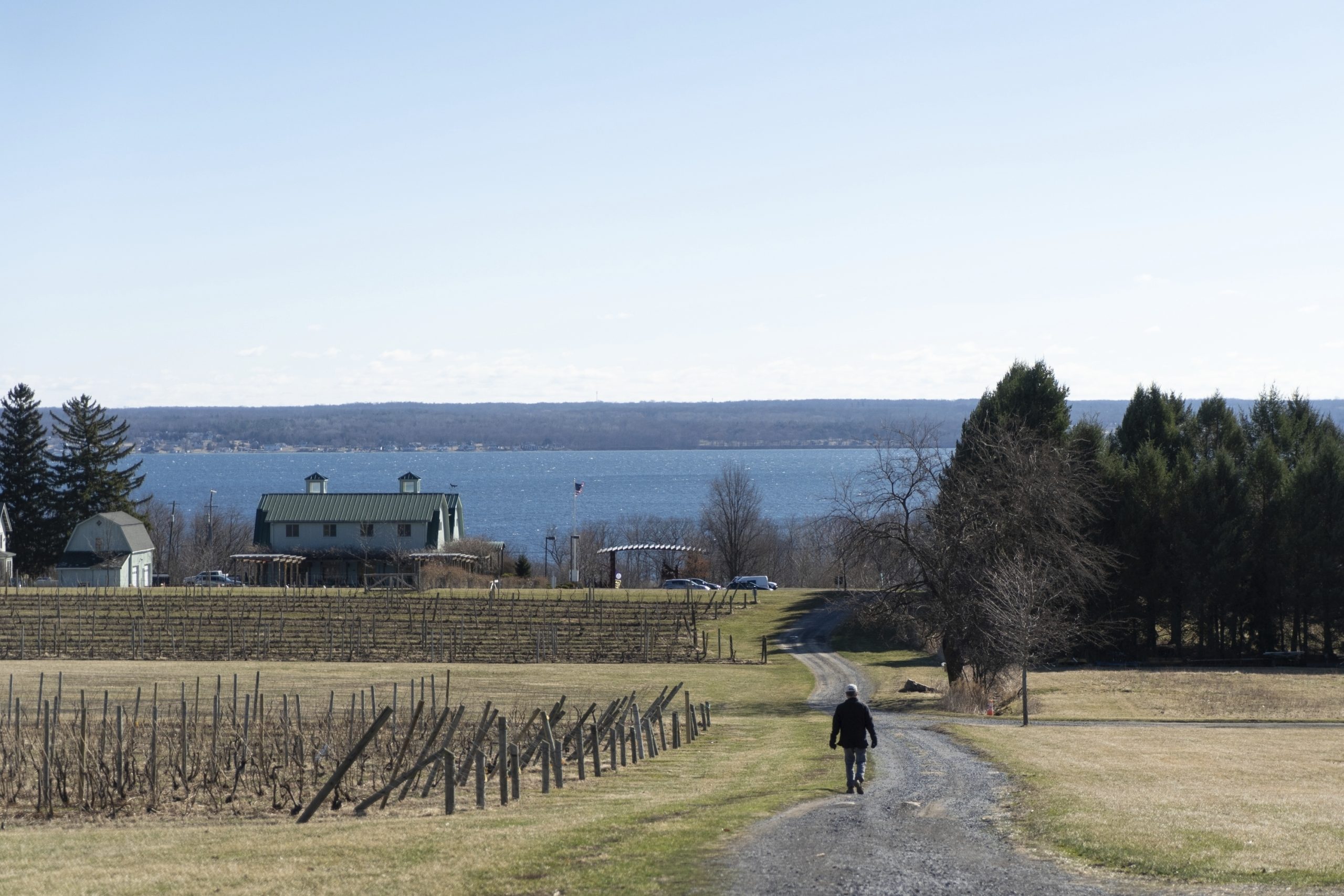 Vineyards in NY wine country push sustainability as they adapt to climate change
