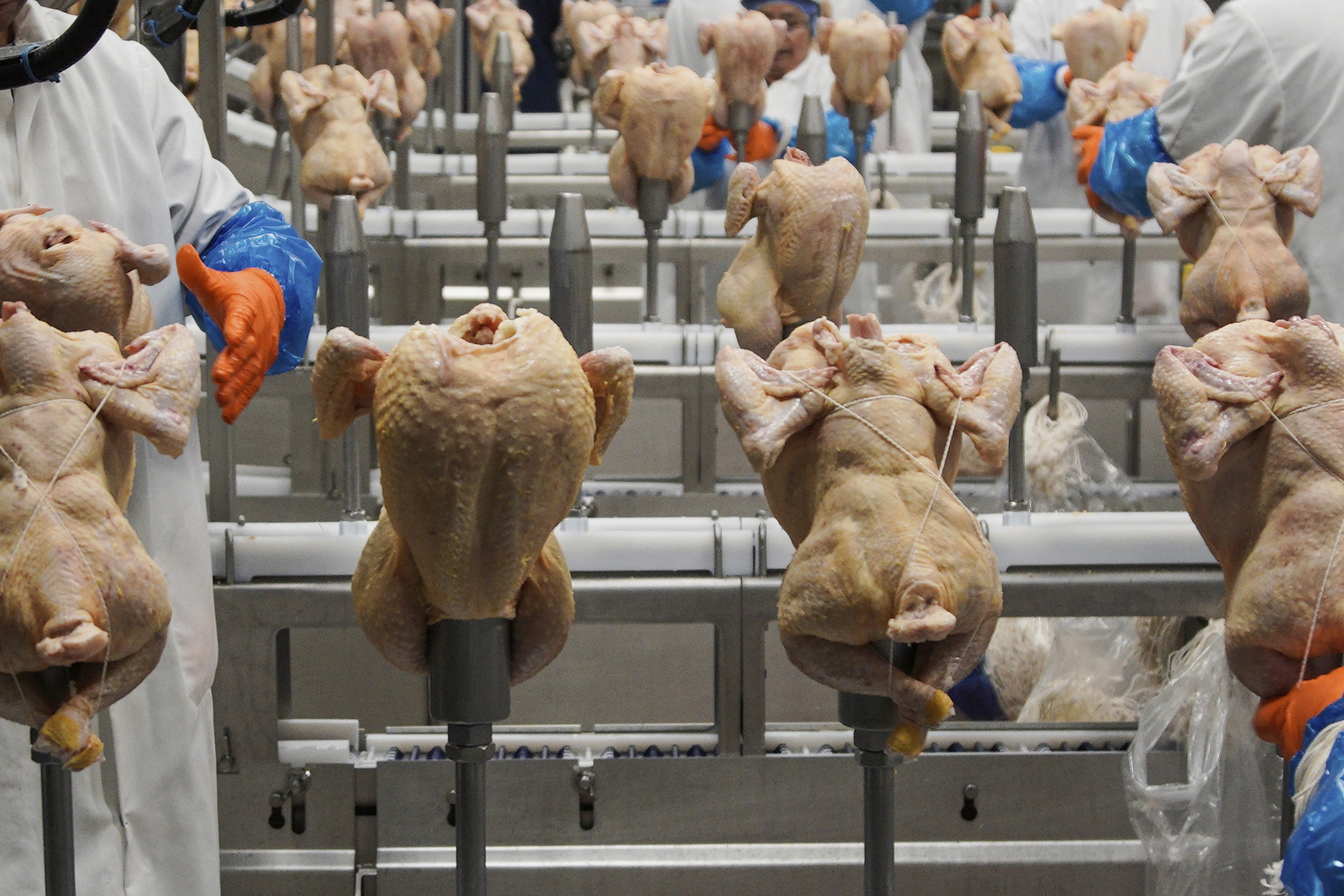 USDA withdraws a plan to limit salmonella levels in raw poultry