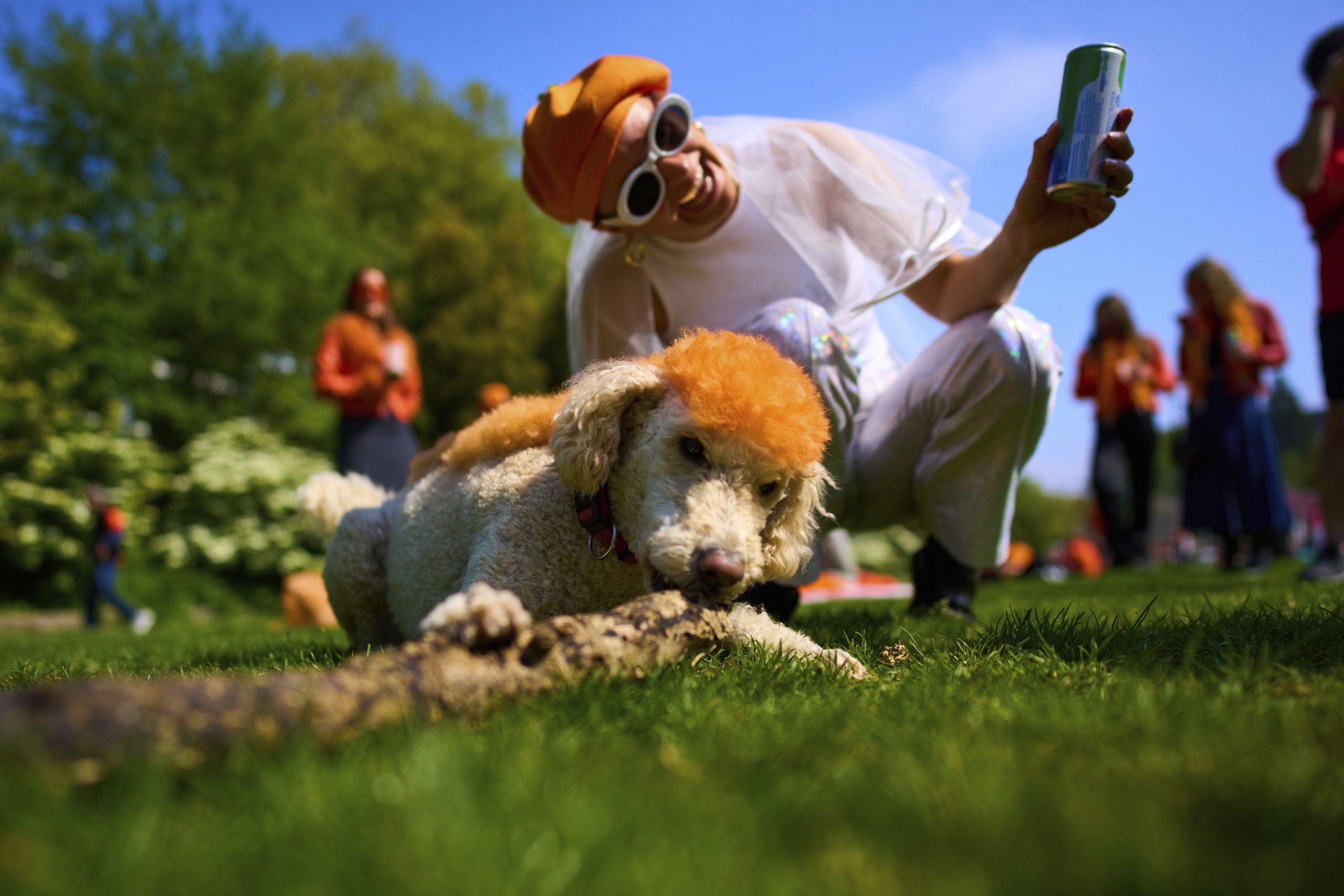 Orange-clad crowds cram into Dutch cities to celebrate king’s birthday