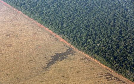 Brazil’s government aims to raise $2 billion in financing with new Eco Invest auction