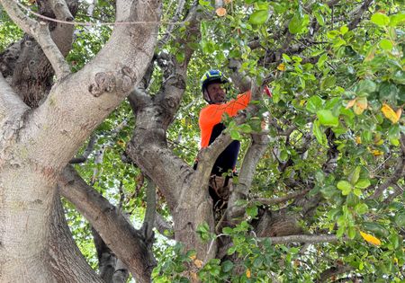 In a vise of slowing demand and rising costs, small businesses are signaling trouble ahead