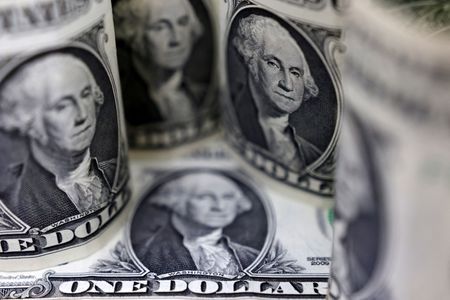 Dollar steady but vulnerable as tariff worries take hold