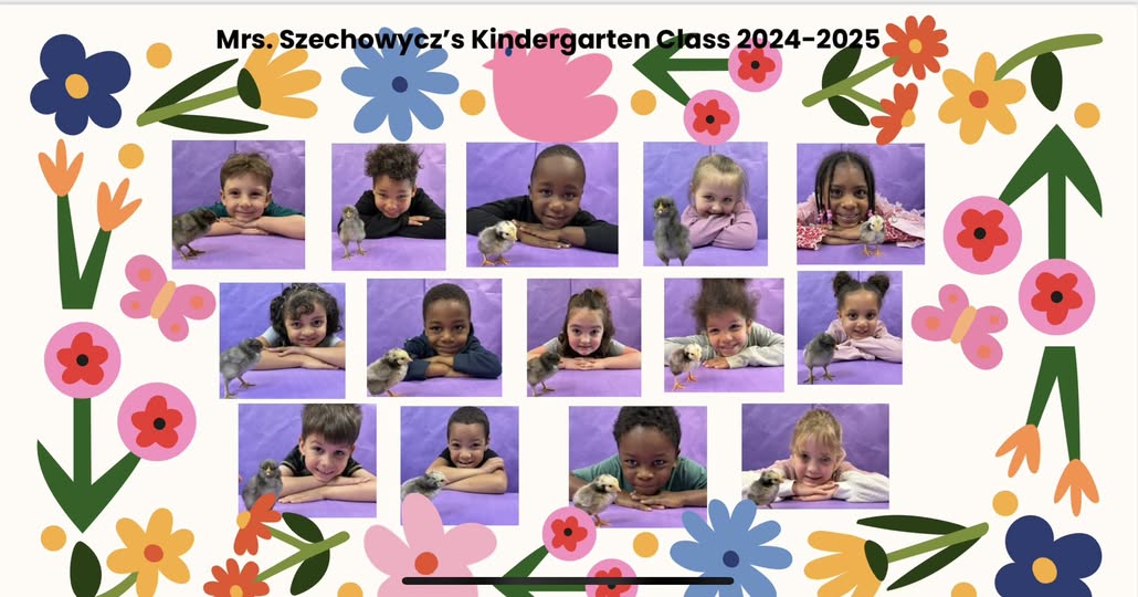 Mrs. Szechowyczs class got to hatch chicks. They enjoyed observing and holding them! #MAC185