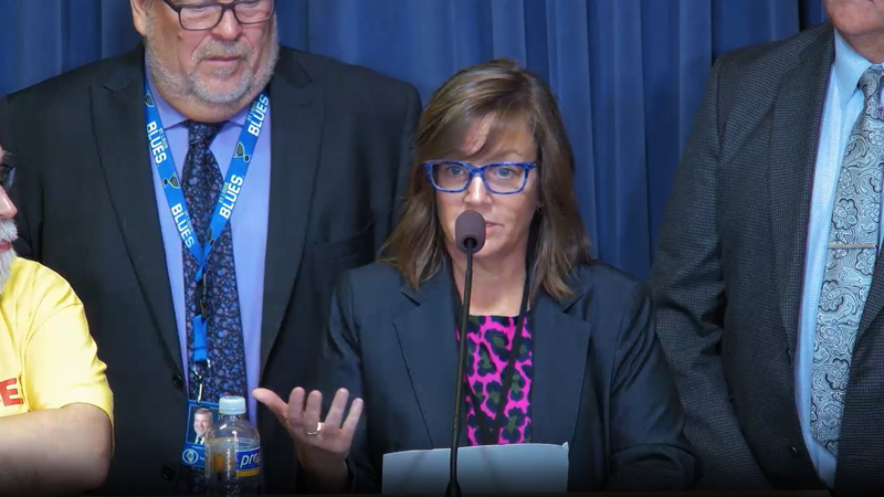 Illinois lawmakers debate federal voter legislation along with Illinois bills