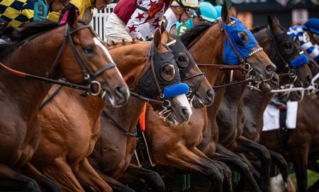 Horse racing-Sovereignty rules muddy track to win Kentucky Derby