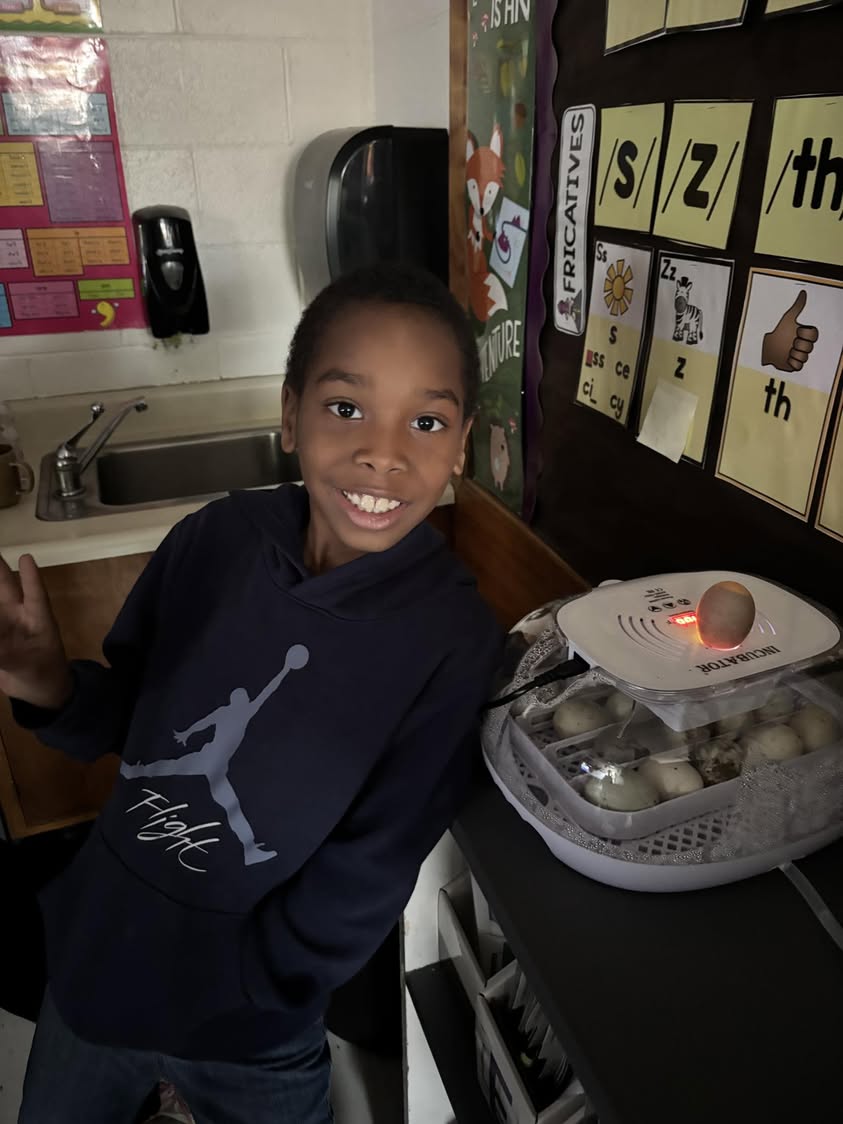 Mrs. Locke class is getting eggcited for some ducklings to hatch soon!  #MAC185