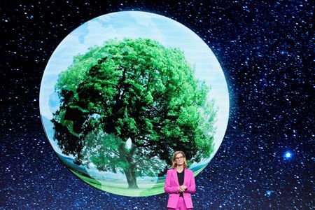 Trump administration backs U.S. candidate to retain UN telecoms post