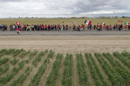 Trump says he is looking at new steps on farm labor