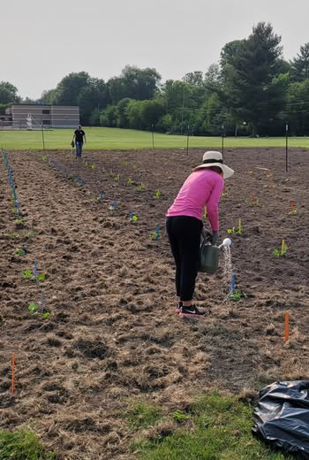 Mr. Markey and Mrs. Ruebush helped employees from Corteva Agriscience plant all the pumpkin starters Mrs. Ruebushs clas…