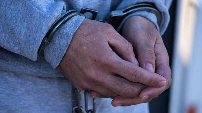 Virginia is a top ICE partner as immigration protests grow