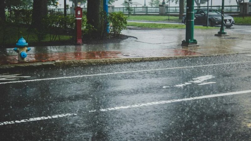 Report: Regional power grid prepared for hotter, wetter summer