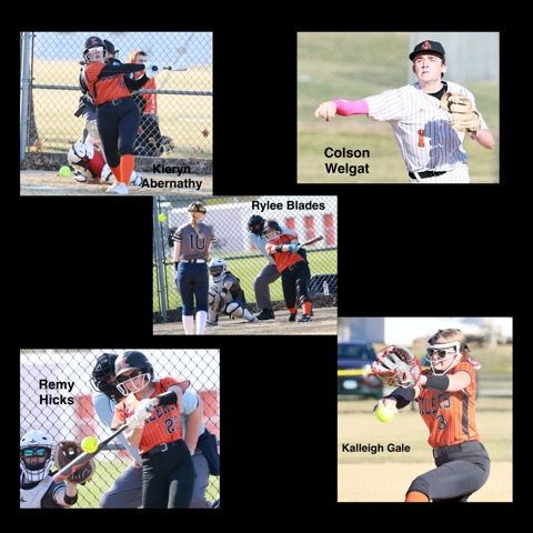 Illinois 2025 All-State Baseball Teams Announced by Coaches Association