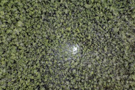 Trump to play up ‘Alligator Alcatraz’ deportations in Florida ahead of bill deadline