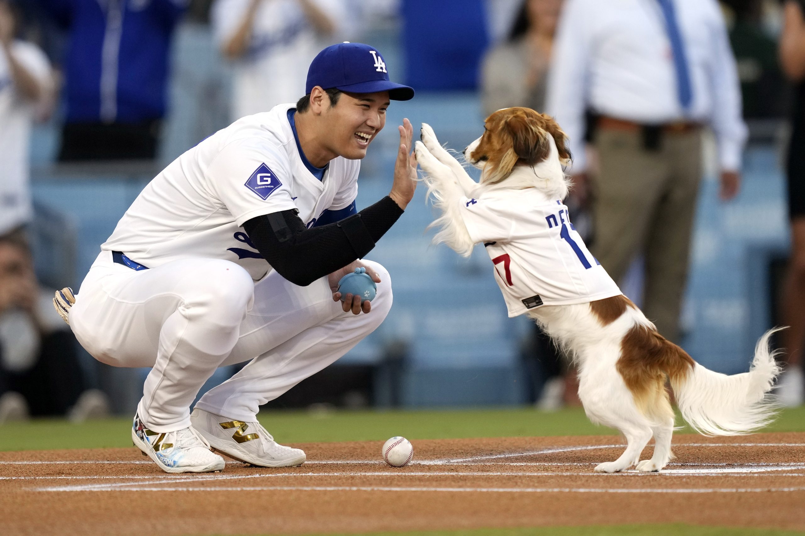Shohei Ohtani co-writes children’s book starring his dog Decoy