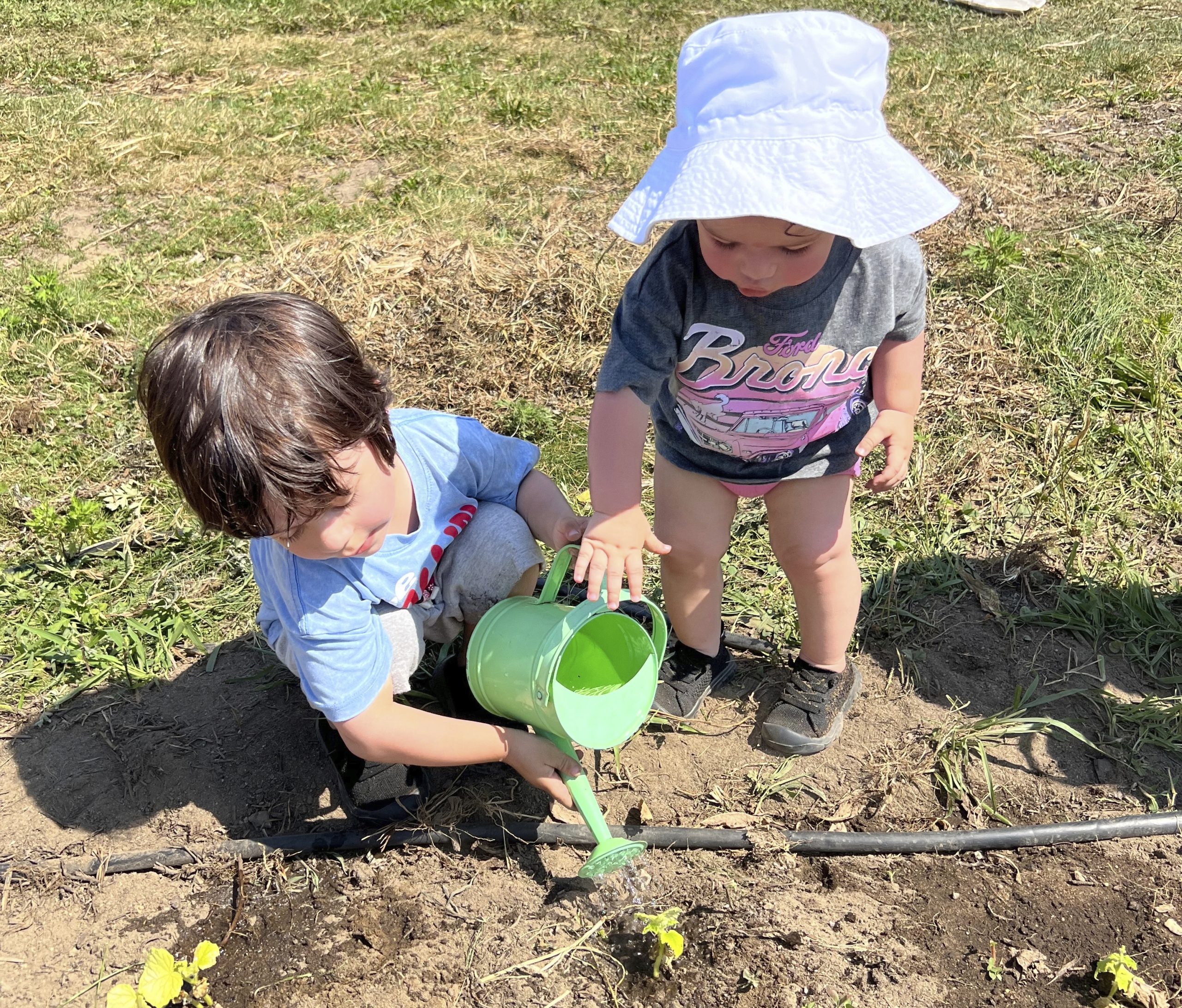 Let kids create their own garden, and other tips for instilling a love for growing things