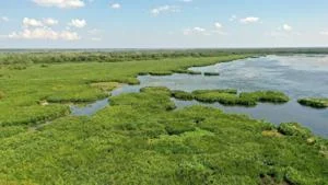 Increase in revenue sharing cap means more money for Louisiana coastal projects