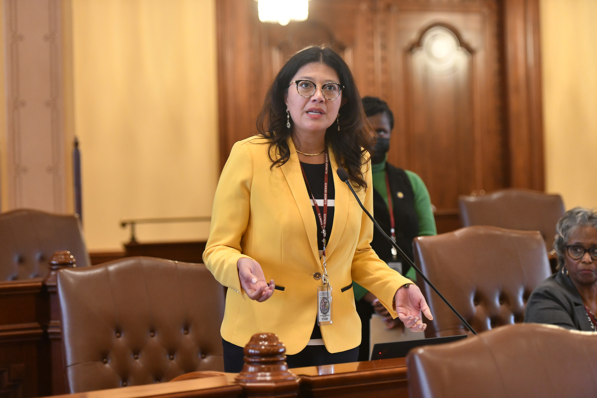 Karina Villa Jockeyed for a Spot on the Cook County Slate, but Her Progressive Bona Fides Croked Her