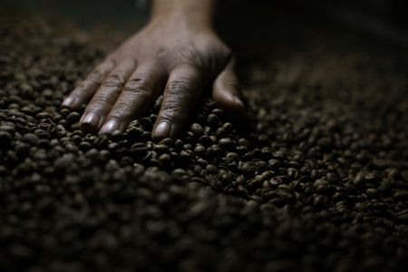China welcomes 183 Brazil coffee sellers in wake of US tariffs