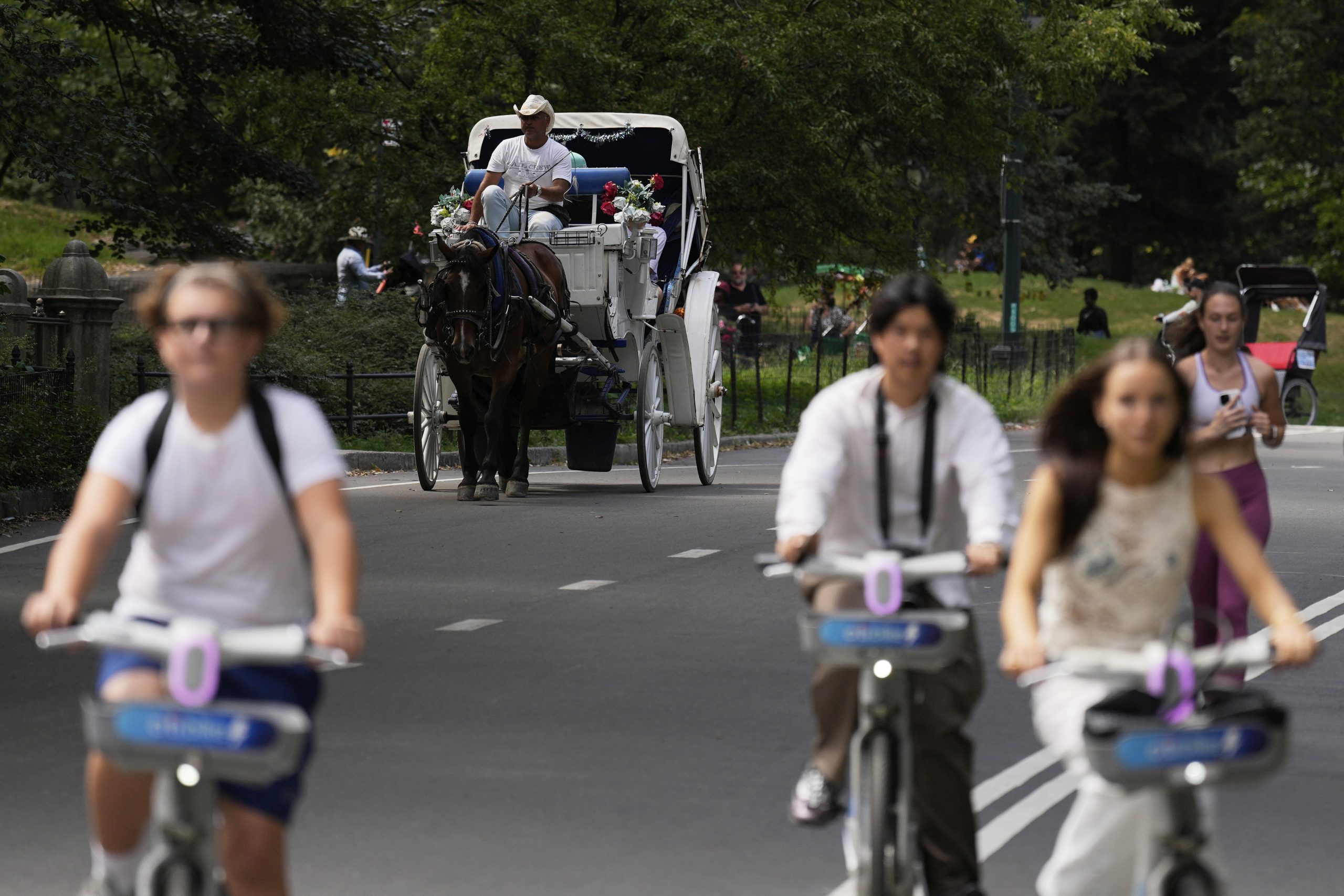 As bikes and strollers fill Central Park, its managers want to push horse carriages out