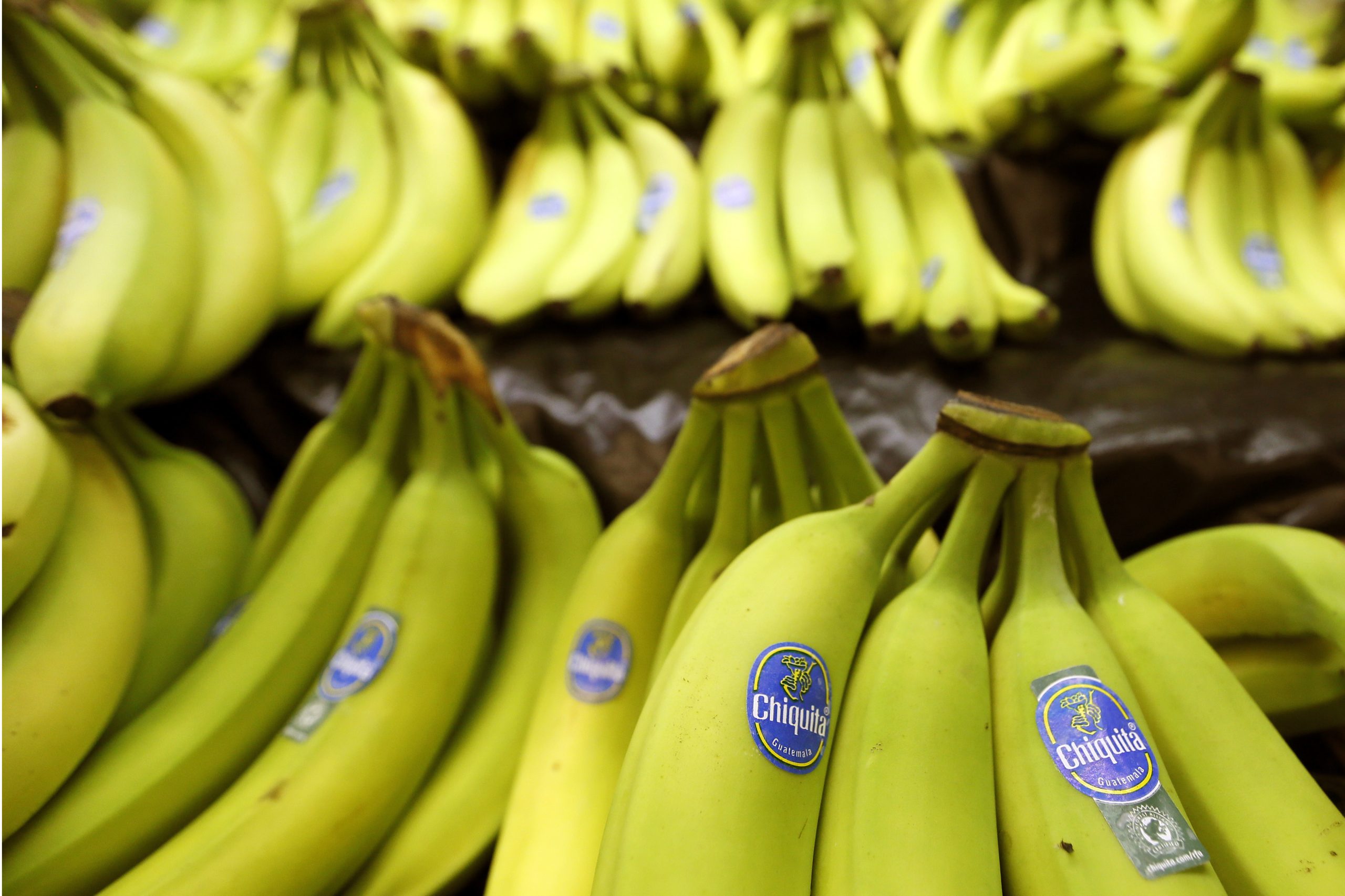 Panama signs agreement with banana giant Chiquita Brands to resume operations after strike