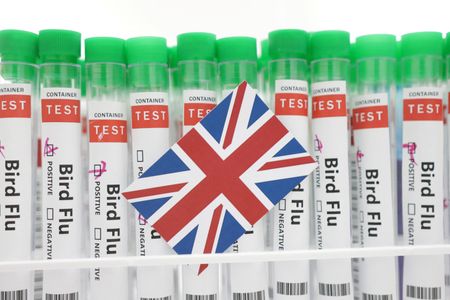 UK confirms H5N1 bird flu outbreak in southwestern England