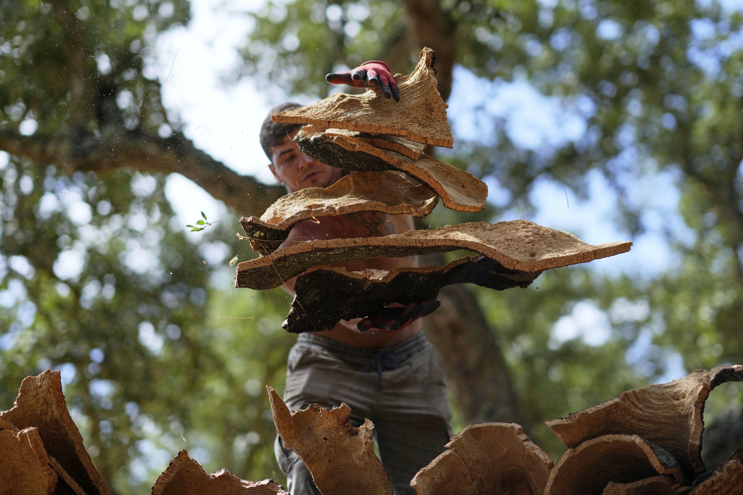 The cork in your wine bottle is one of very few products that dodged Trump’s tariffs