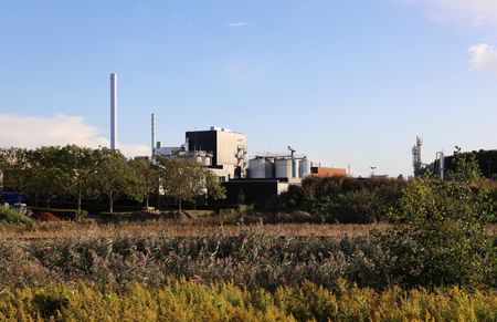 Denmark’s ‘Novo Town’ holds its breath as Wegovy fever fades