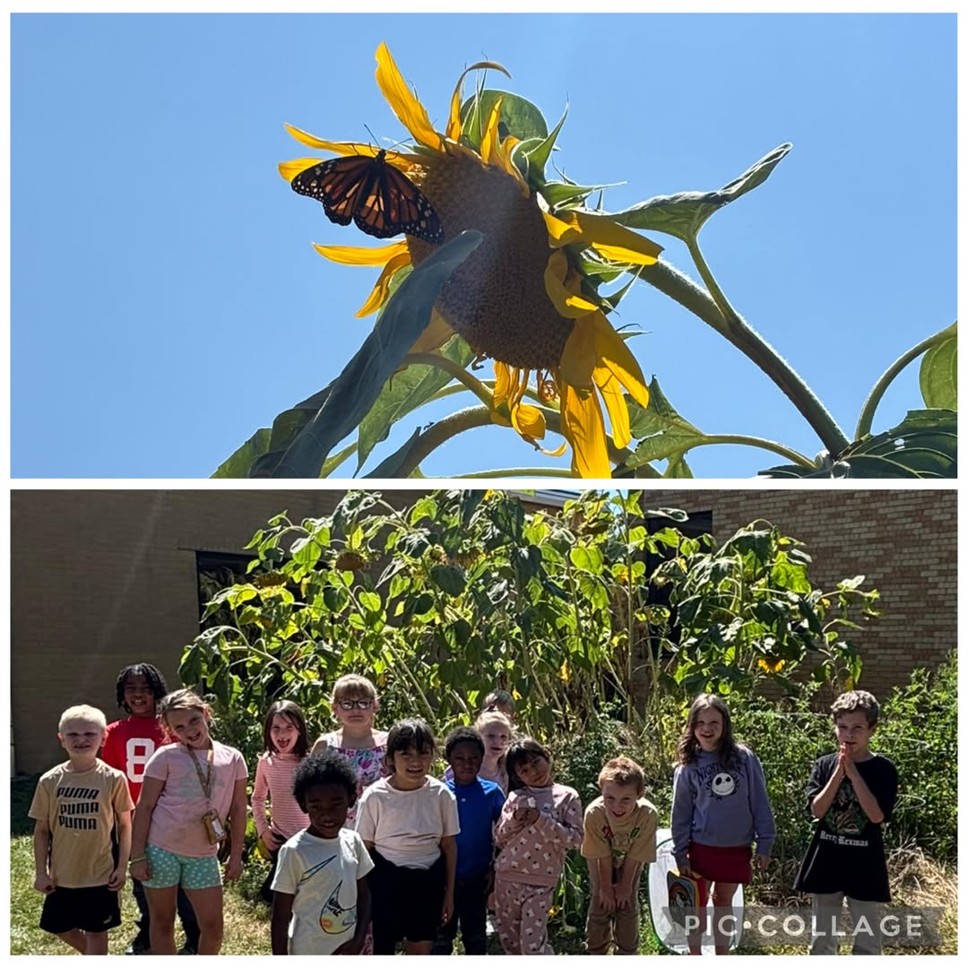 Mrs. Coupland’s class was so excited to release their first Monarch butterfly of the year!