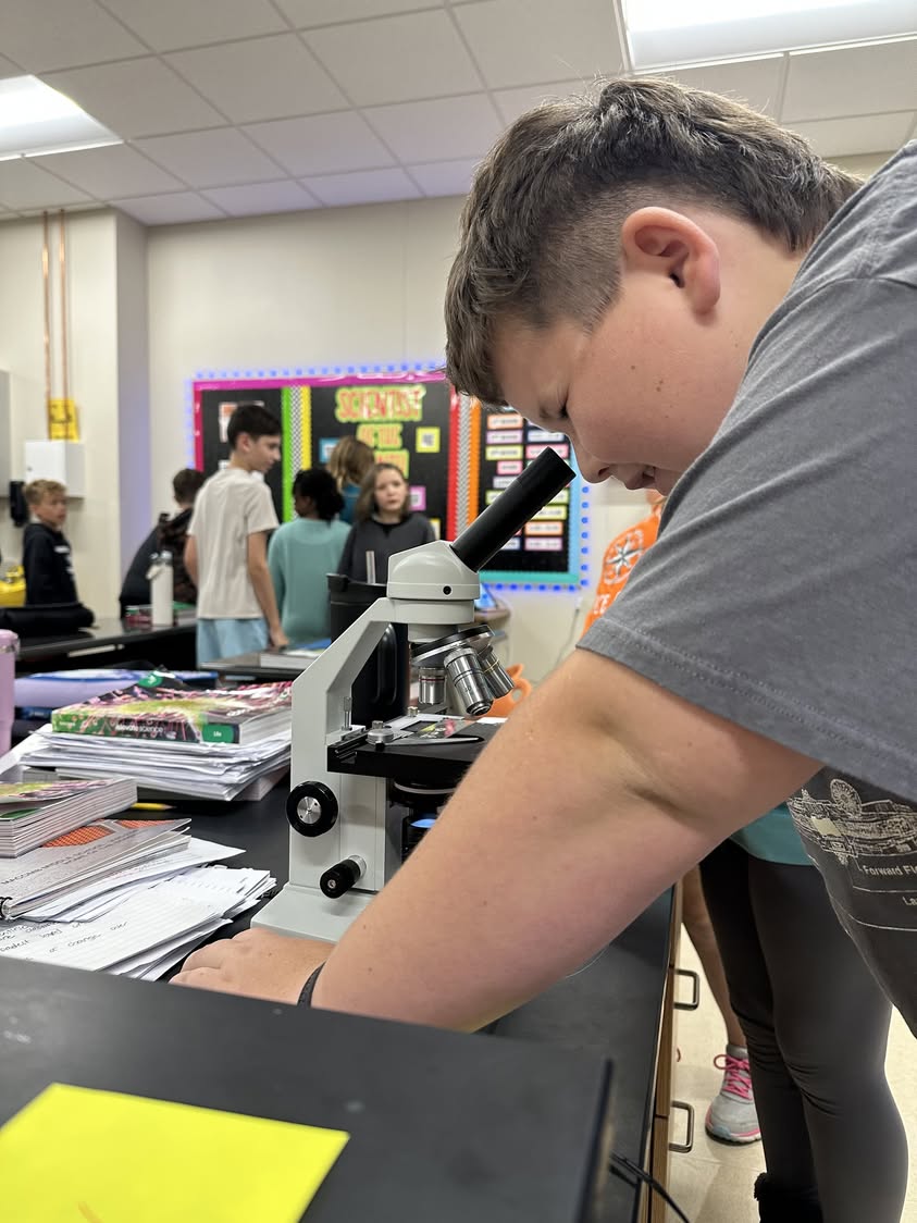 6th grade scientists at Macomb Middle School spent class looking for organisms in water samples from Lake Ruth today. #m…